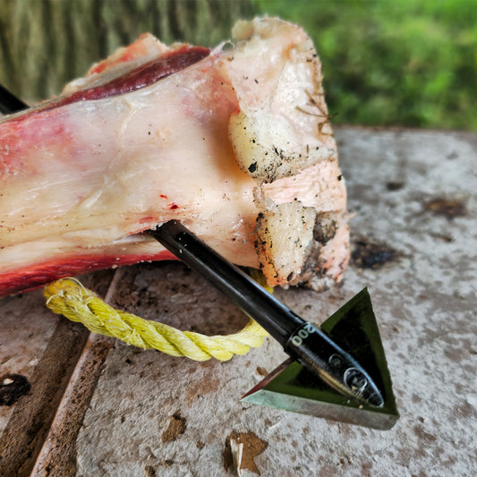 Crimson Talon Croc Broadhead
